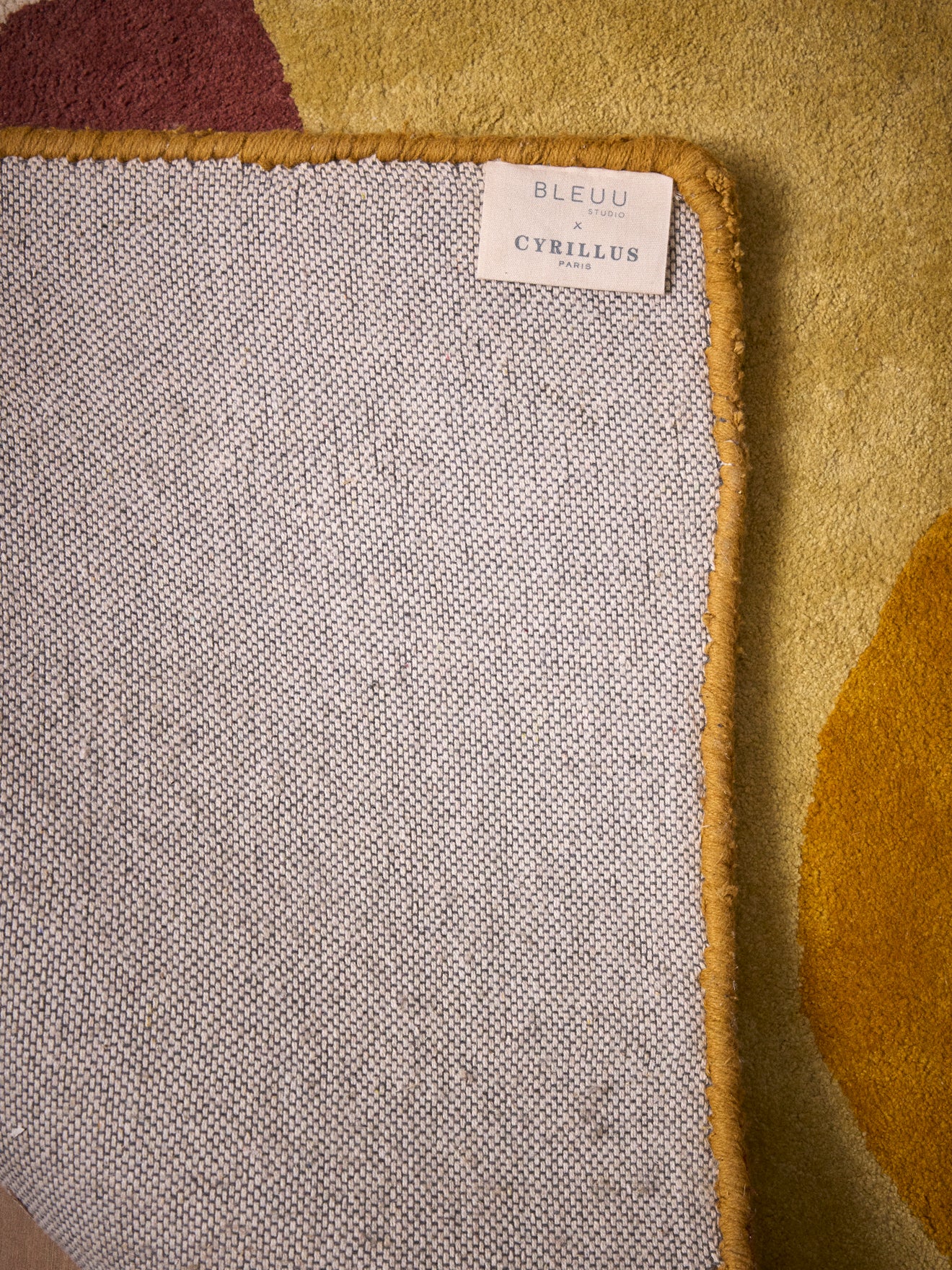 Tapis Paysage Bleuu Studio X Cyrillus - Image 7